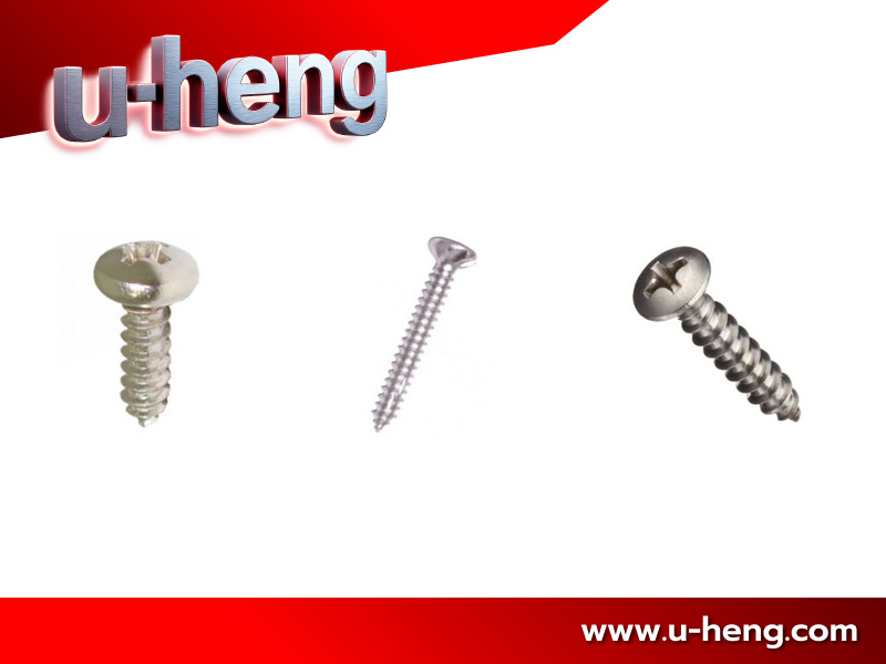 สกรูเกลียวเหล็ก